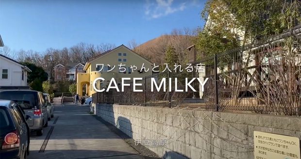 ワンちゃんと一緒に入れます。ドッグランを眺めながらお茶を飲む『cafe Milky』