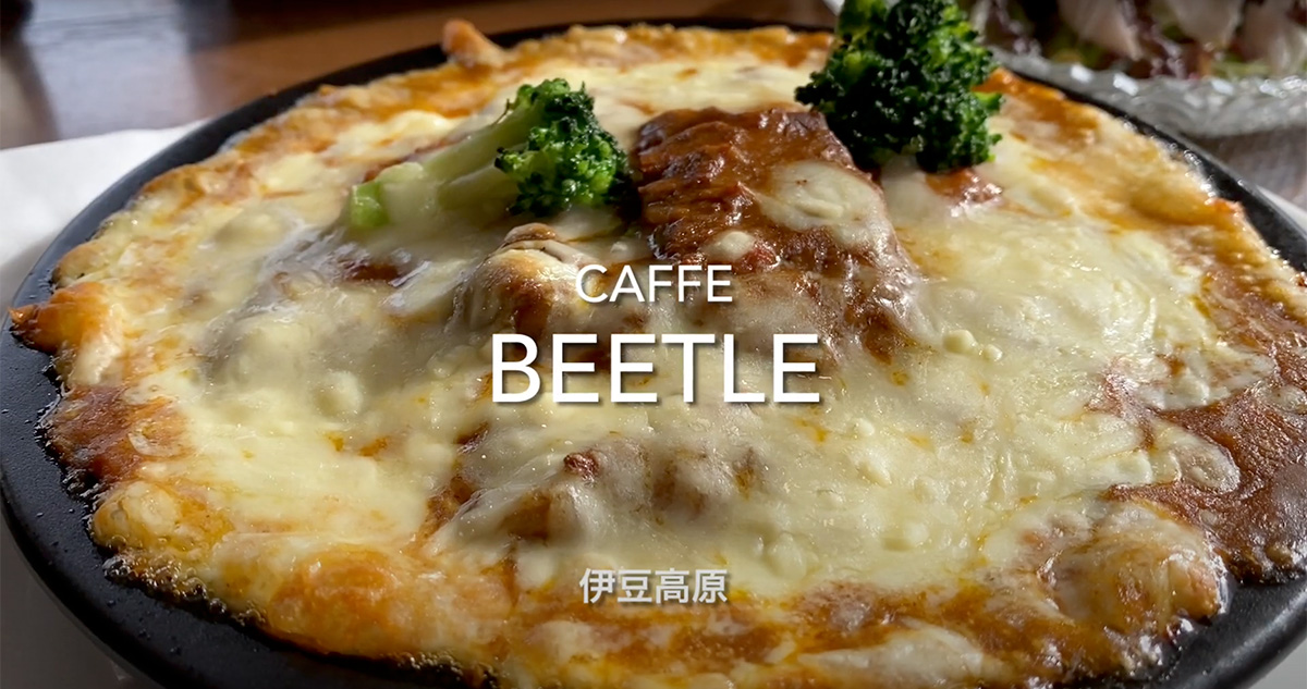 Caffe beetle