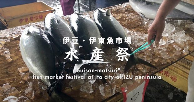 伊豆　伊東　水産祭/Fish market festival at izu peninsula in Japan