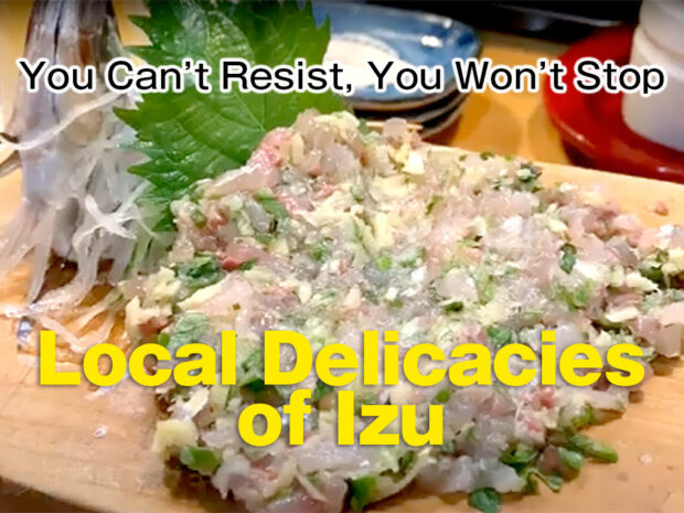 “You Can’t Resist, You Won’t Stop – Local Delicacies of Izu”